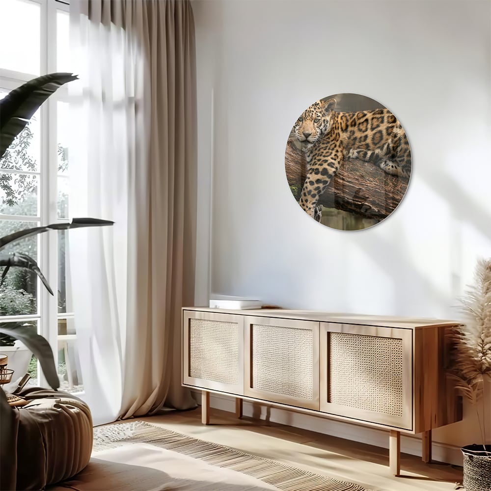 Glasbild mit einem majestätischen Jaguar
