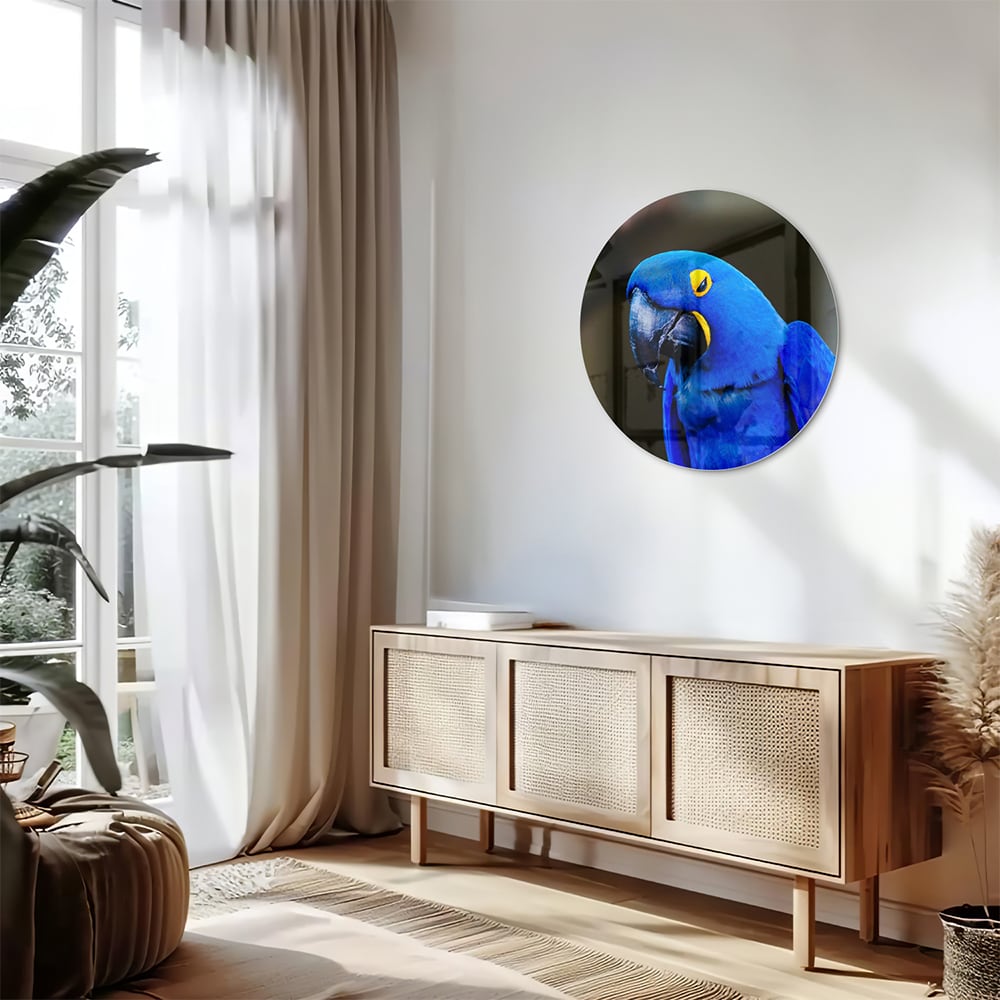 Glasbild mit einem wunderschönen blauen Ara