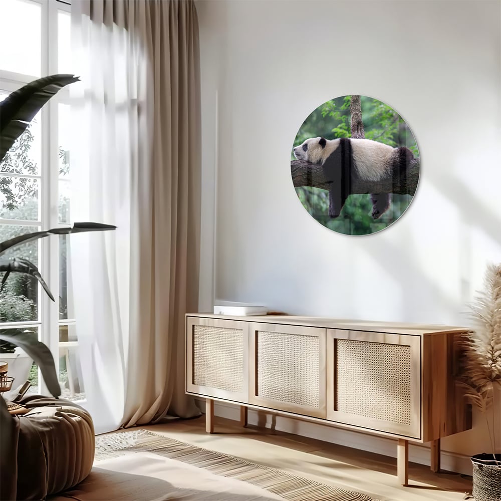Glasbild mit entspanntem Panda auf einem Ast
