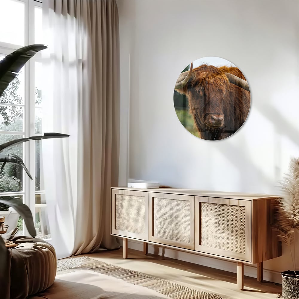Glasbild mit einem schottischen Hochlandrind