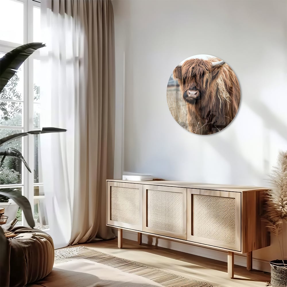 Glasbild mit Hochlandrind in Holzoptik