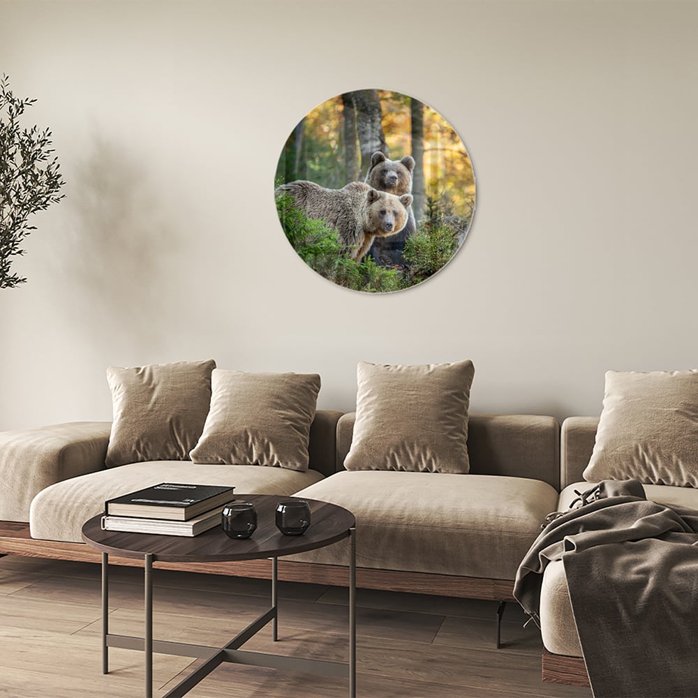 Glasbild mit zwei niedlichen Bären im Wald