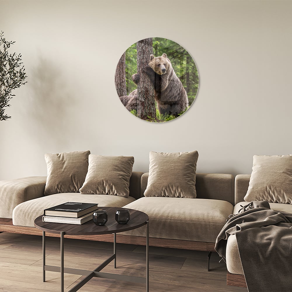 Glasbild mit beeindruckenden Grizzlybären in der Wildnis