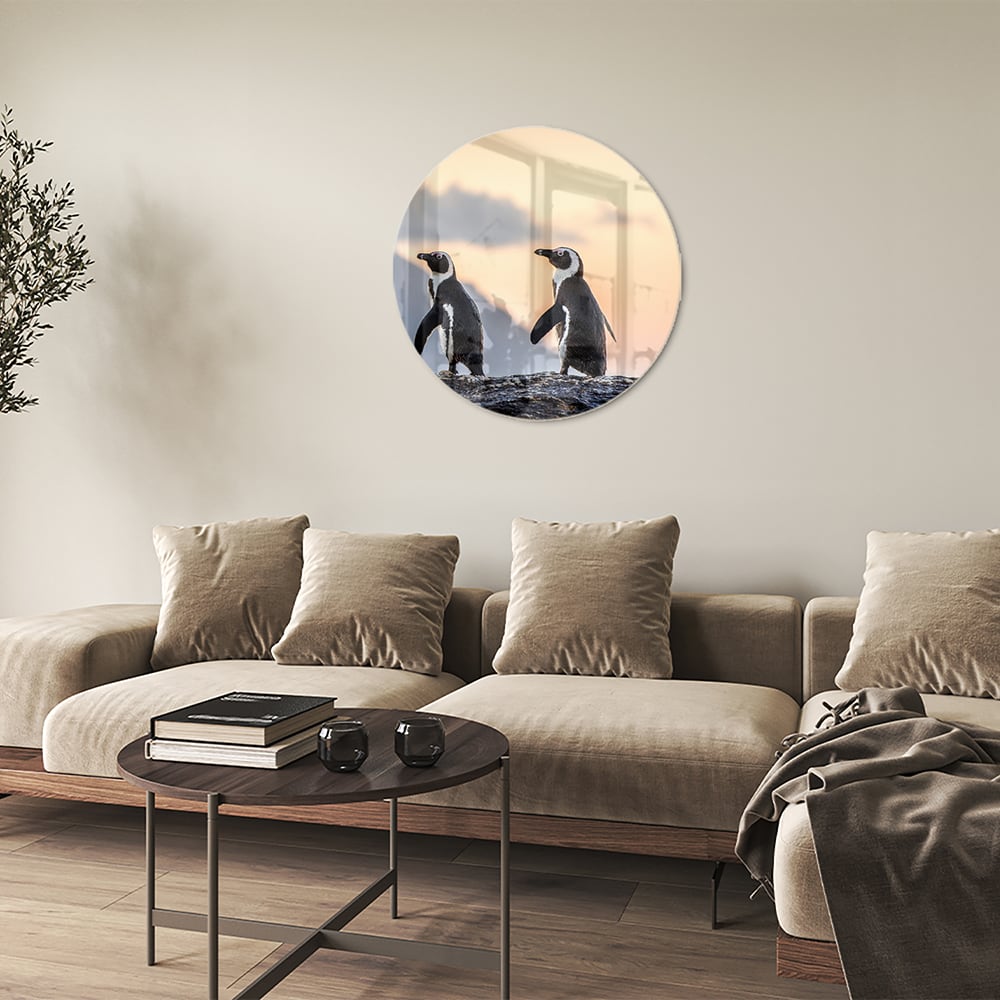 Glasbild mit Pinguinen bei Sonnenuntergang