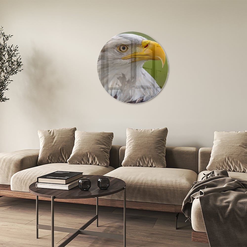 Glasbild mit majestätischem amerikanischen Weißkopfseeadler