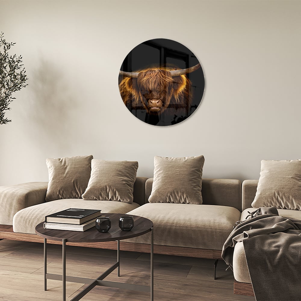 Beeindruckendes Glasbild mit Highland-Rind