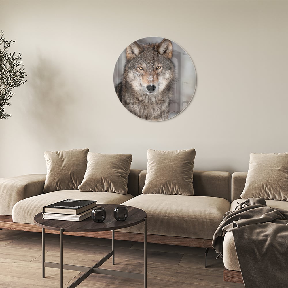 Beeindruckendes Glasbild mit einem Wolf