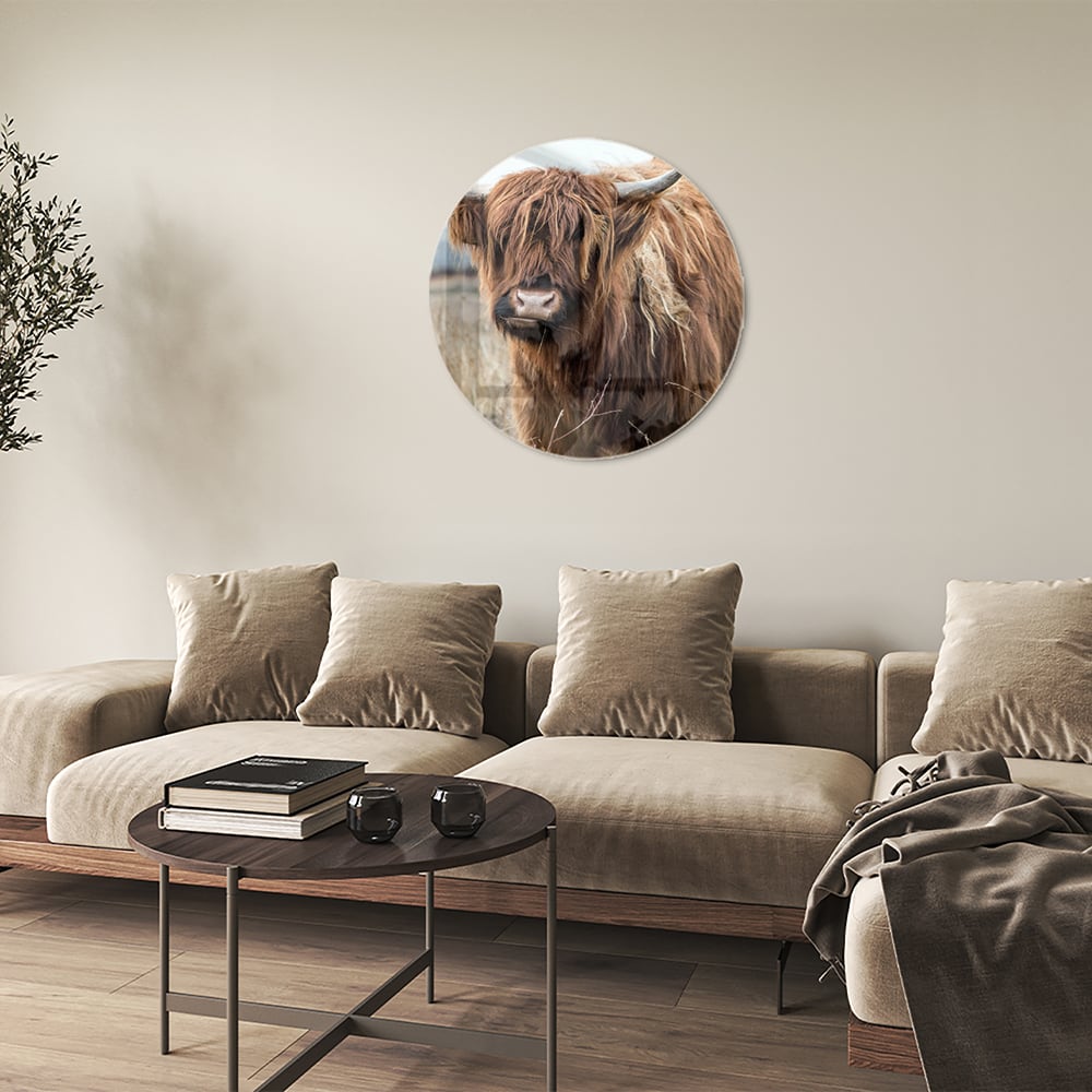 Glasbild mit Hochlandrind in Holzoptik