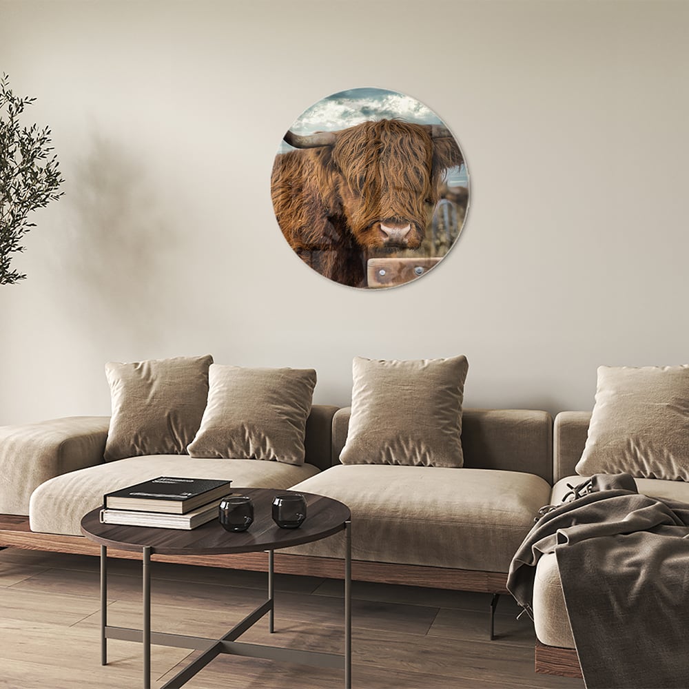 Glasbild mit einem Hochlandrind in der Natur
