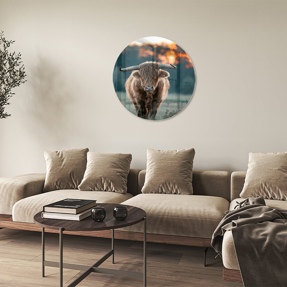 Glänzendes Glasbild mit schottischem Hochlandrind