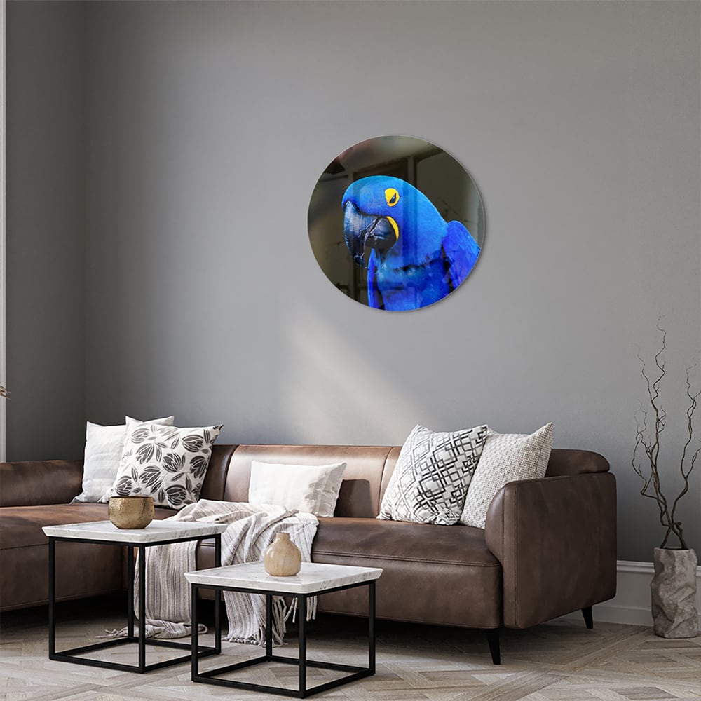 Glasbild mit einem wunderschönen blauen Ara