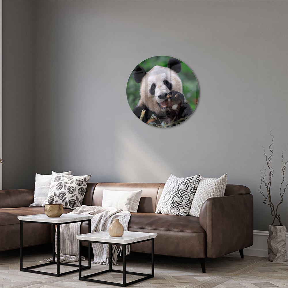Glasbild mit einem niedlichen Panda in grüner Landschaft