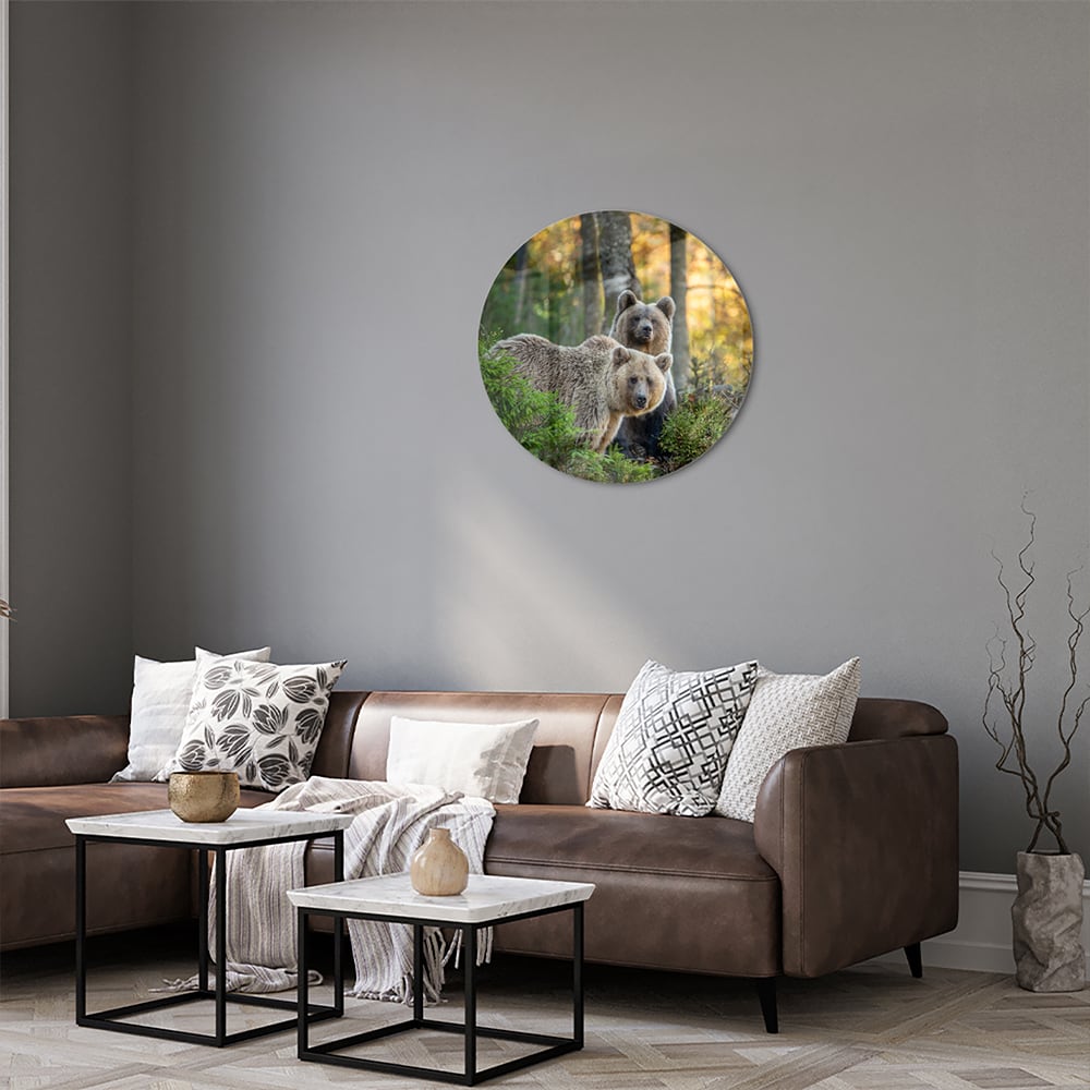 Glasbild mit zwei niedlichen Bären im Wald