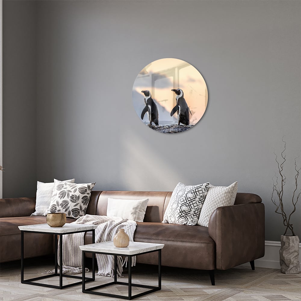 Glasbild mit Pinguinen bei Sonnenuntergang