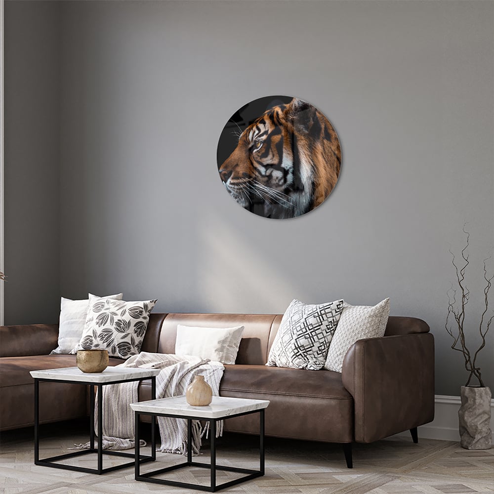 Glasbild mit majestätischen Tigern